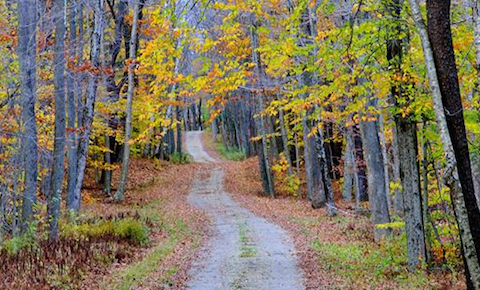 "Country Road," by Robert Watroba; photo courtesy Berkshire Art Association