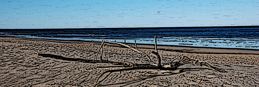"Sandy Beach," by Adavyd; Cropped, shopped, and resized; [CC BY-SA 3.0], from Wikimedia Commons