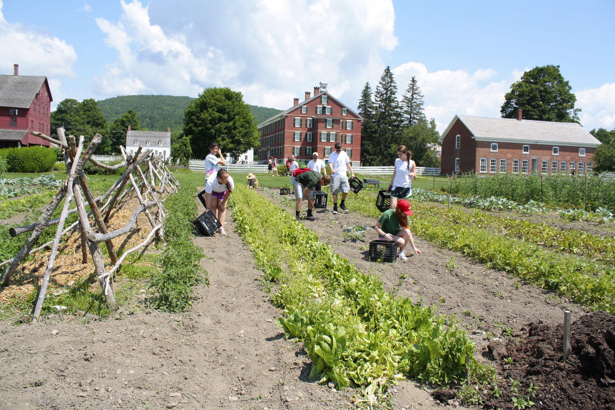 Photo of Hancock Shaker Mill vegetable gardens: The gardens at Hancock Shaker Village are a key educational component of the annual activities on site. Now, visitors can eat their education, both at Seeds cafe and through food awareness workshops; submitted photo.