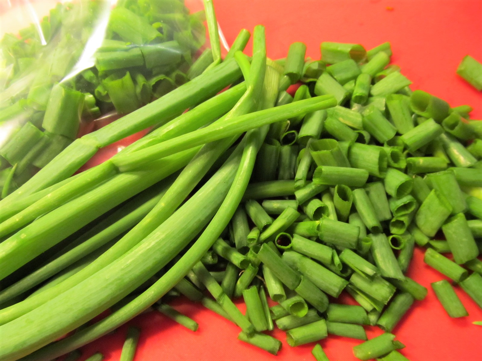 Photo of green onion stalks, some long, some diced; Bunching onions for the freezer; photo by Sheila Velazquez