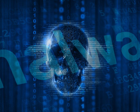 image of human skull against a background of narrow columns of zeros and ones, with the word. #malware, overlaid