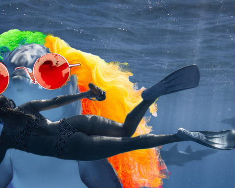 photo of Dolphin underwater altered to appear to be wearing a rainbow wig and hippie sunglasses. A woman in snorkel gear swims underwater in the foreground.