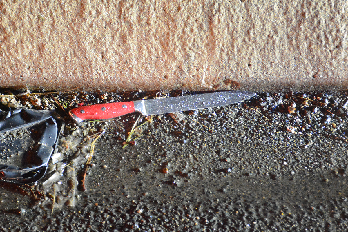 Photo of a small kitchen knife lying in the street by the curb.