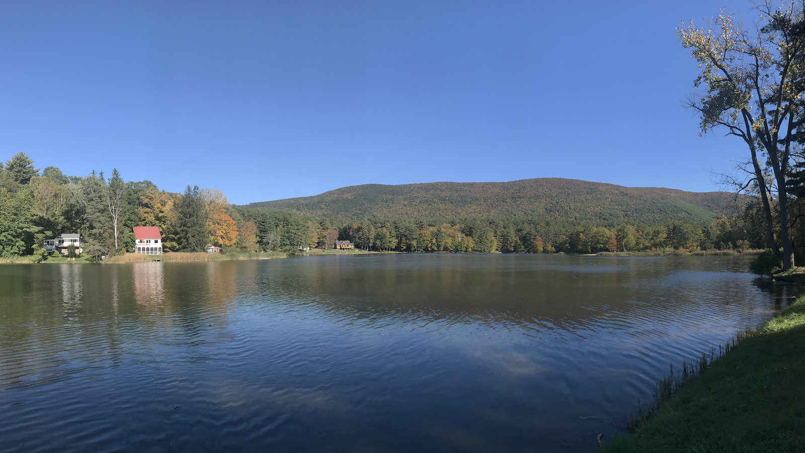 A serene view of Windsor Lake in North Adams, Massachusetts. The calm water of the lake reflects the clear blue sky and the surrounding lush, green forest. A few houses with vibrant red roofs are nestled among the trees on the lake's edge. The backdrop features a gentle slope of a forested mountain, with a green foliage.